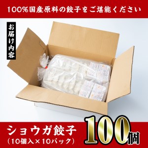 i393 国産豚肉使用！手作りショウガ餃子100個セット(10個×10パック たれ付き）具材は全て安心安全な国産！にんにく不使用！ビールのお供に相性抜群！  餃子 ぎょうざ ニンニク不使用 しょうが 生姜 冷凍 おかず おつまみ 惣菜 小分け 国産原料【スーパーよしだ】