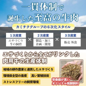 I3 4等級以上鹿児島県産黒毛和牛ロースステーキ 計440g 脂身に甘みを感じきめ細やかなサシが入った柔らかなステーキ カミチク 鹿児島県出水市 ふるさと納税サイト ふるなび