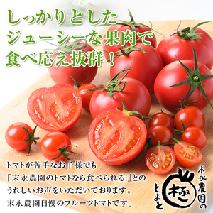 i432 ＜期間限定＞極トマト おまかせセット2kg以上(ミニトマト・大玉トマト)フルーツトマト  とまと一つ一つに向き合い丁寧につくりあげた逸品！【末永農園】