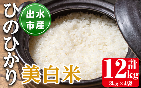 イクヒカリ 母の日ギフト お米10kg いくひかり 5kg×2袋 令和6