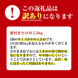 i500 ≪数量限定！先行予約受付中！2025年4月上旬～4月中旬の間に発送予定≫【訳あり】鹿児島県出水市産！タケノコ＜皮付き3kg＞【訳あり】鹿児島県出水市産！タケノコ＜皮付き3kg＞【イーサイドライン】