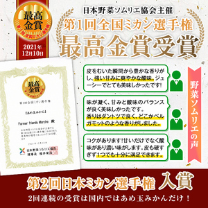 i569 ＜2024年11月下旬～2025年1月下旬の間に発送予定＞【特別栽培・最高金賞】温州みかん日本一！濃甘あめ玉みかん(計約6kg・3kg×2箱＋傷み保障 約200g(3～4玉) みかん 蜜柑 ミカン 柑橘 果物 フルーツ 果実 国産 鹿児島 【Farmer friends Marche】