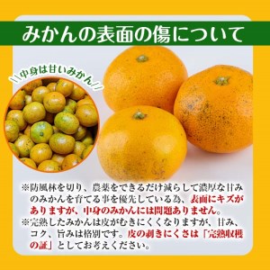 i569 ＜2024年11月下旬～2025年1月下旬の間に発送予定＞【特別栽培・最高金賞】温州みかん日本一！濃甘あめ玉みかん(計約6kg・3kg×2箱＋傷み保障 約200g(3～4玉) みかん 蜜柑 ミカン 柑橘 果物 フルーツ 果実 国産 鹿児島 【Farmer friends Marche】