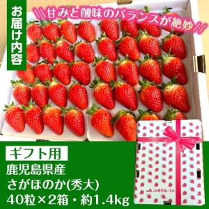 i109 <2026年1月中旬以降順次発送予定><ギフト用・数量限定> 鹿児島県産イチゴ(計約1.4kg・40粒×2箱) イチゴ 苺 さがほのか 果物 くだもの フルーツ 旬 九州産 プレゼント ギフト 贈り物 お土産 【JA鹿児島いずみ】