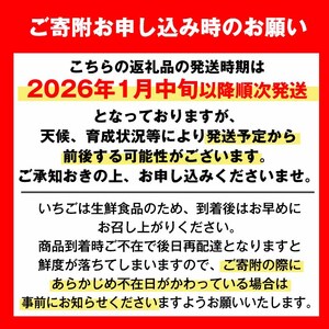 i109 <2026年1月中旬以降順次発送予定><ギフト用・数量限定> 鹿児島県産イチゴ(計約1.4kg・40粒×2箱) イチゴ 苺 さがほのか 果物 くだもの フルーツ 旬 九州産 プレゼント ギフト 贈り物 お土産 【JA鹿児島いずみ】