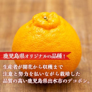 i523 ≪先行予約受付中!2026年3月上旬より順次発送予定≫鹿児島県出水市特産!<露地栽培>大将季(約5kg・18~20玉) 大将季 柑橘 くだもの 鹿児島県 みかん フルーツ 旬 露地栽場 【JA鹿児島いずみ(果実課)】