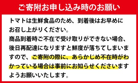 i709 ＜定期便・計3回(連続)＞極トマト おまかせセット(ミニトマト・大玉トマト)＜2kg以上×3回・総計6kg以上＞ フルーツトマト【末永農園】