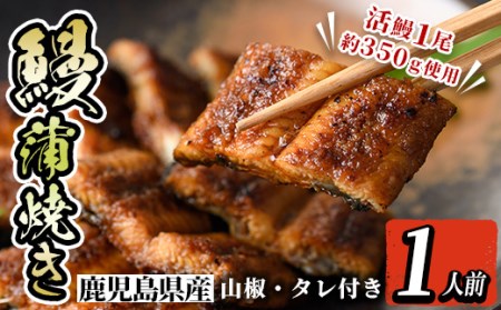 i800 鹿児島県産 うなぎ蒲焼(1尾) うなぎ 鰻 ウナギ 蒲焼 国産 鹿児島県産 おかず 晩御飯 特別な日 土用の丑の日【とらふぐ家】