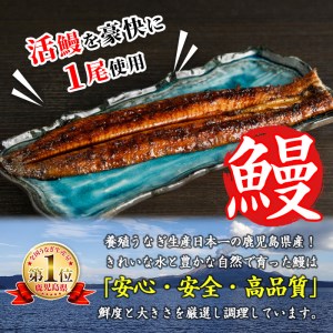 i800 鹿児島県産 うなぎ蒲焼(1尾) うなぎ 鰻 ウナギ 蒲焼 国産 鹿児島県産 おかず 晩御飯 特別な日 土用の丑の日【とらふぐ家】
