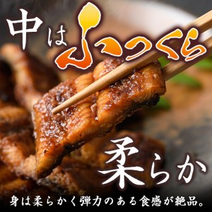 i800 鹿児島県産 うなぎ蒲焼(1尾) うなぎ 鰻 ウナギ 蒲焼 国産 鹿児島県産 おかず 晩御飯 特別な日 土用の丑の日【とらふぐ家】