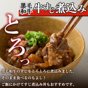 i828 簡単おかず煮込み３種類(計1.3kg) 鹿児島県 牛肉 肉 黒毛和牛 豚肉 牛すじ 牛筋 すね肉 角煮 甘辛 赤ワイン 赤ワイン煮 おかず【カミチク】