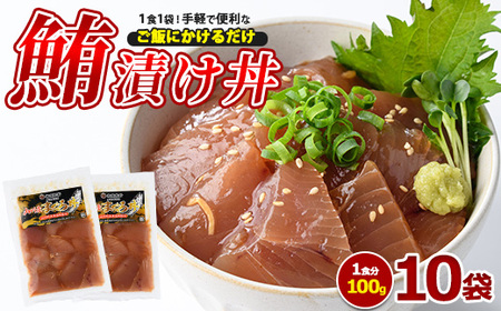 マグロ漬け丼100g×10袋 山川町漁協 IB039-001 マグロ マグロ