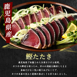 全3回定期便・隔月お届け カツオ好きのための堪能定期便 指宿食品 Z033-1693 定期便 定期便