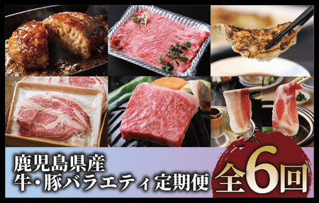 全6回 定期便 鹿児島県産牛・豚バラエティ 定期便 Z120-1728 