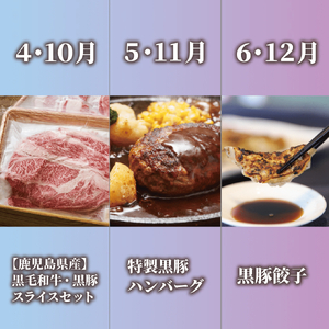 全6回 定期便 鹿児島県産牛・豚バラエティ 定期便 Z120-1728 