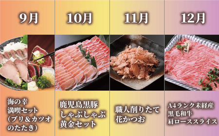 【全１２回定期便】肉！魚！お惣菜にスイーツも！いぶすき人気グルメ定期便(Z200-1605) 黒豚 黒毛和牛 豚 牛 カツオ 鰹節 さつま揚げ 鰻 アイス 海鮮丼 唐船峡 めんつゆ 指宿 鹿児島 満喫