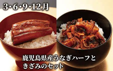 全３回 定期便 鹿児島県産牛･豚･鰻バラエティ 定期便 Z055-1731