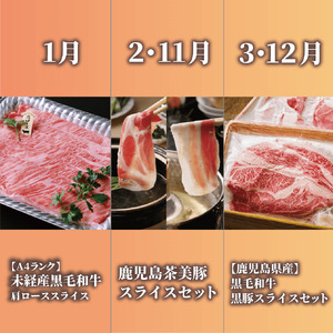 全12回 定期便 鹿児島県産牛･豚バラエティ 定期便 Z180-1727