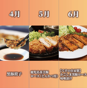 全12回 定期便 鹿児島県産牛･豚バラエティ 定期便 Z180-1727