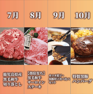 全12回 定期便 鹿児島県産牛･豚バラエティ 定期便 Z180-1727