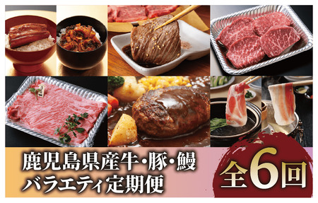 全6回 定期便 鹿児島県産牛･豚･鰻バラエティ 定期便 Z100-1730