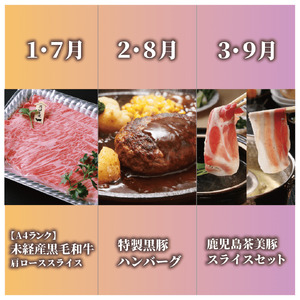 全6回 定期便 鹿児島県産牛･豚･鰻バラエティ 定期便 Z100-1730