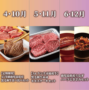 全6回 定期便 鹿児島県産牛･豚･鰻バラエティ 定期便 Z100-1730