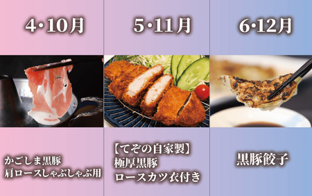 全6回 定期便 鹿児島県産豚バラエティ 定期便 Z065-1726