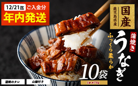 【2025年12月21日までのご入金で年内発送】鹿児島県産 うなぎ蒲焼 じっくり焼き きざみ約70g×10袋 化粧箱入り 大新 022-1902 うなぎ うなぎ