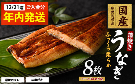 【2025年12月21日までのご入金で年内発送】鹿児島県産 うなぎ蒲焼 じっくり焼きハーフカット約70g×8枚 化粧箱入り 大新 031-1904 うなぎ うなぎ