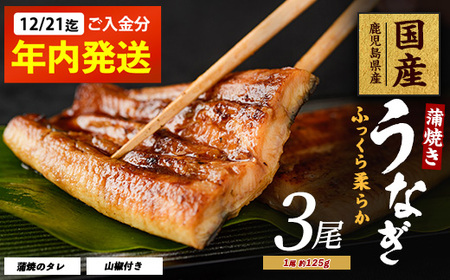 【2025年12月21日までのご入金で年内発送】鹿児島県産 うなぎ蒲焼 じっくり焼き約125g×3尾 化粧箱入り 大新 016-1900 うなぎ うなぎ