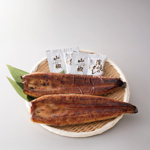 ＜高島屋選定品＞鹿児島県産うなぎ蒲焼じっくり焼き(190g×2尾) (TK020-1929)