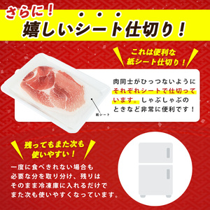 10営業日以内に発送 指宿産かごしま黒豚 しゃぶしゃぶ肉バラ500g･モモ500g 岡村商店 013-1007 黒豚 黒豚