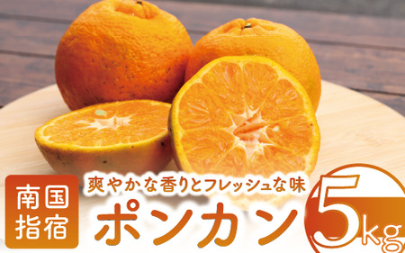 2025年12月上旬～発送 鹿児島県指宿産 ポンカン 約5kg 岩崎農園 015-1892 鹿児島 ポンカン ぽんかん 果物 旬 くだもの フルーツ 柑橘 いぶすき 完熟 果実 国産 鹿児島県産 鹿児島産 露地栽培