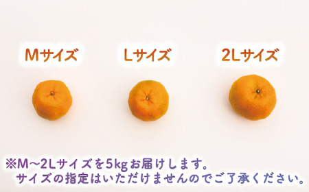 2025年12月上旬～発送 鹿児島県指宿産 ポンカン 約5kg 岩崎農園 015-1892 鹿児島 ポンカン ぽんかん 果物 旬 くだもの フルーツ 柑橘 いぶすき 完熟 果実 国産 鹿児島県産 鹿児島産 露地栽培