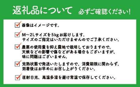 2025年12月上旬～発送 鹿児島県指宿産 ポンカン 約5kg 岩崎農園 015-1892 鹿児島 ポンカン ぽんかん 果物 旬 くだもの フルーツ 柑橘 いぶすき 完熟 果実 国産 鹿児島県産 鹿児島産 露地栽培