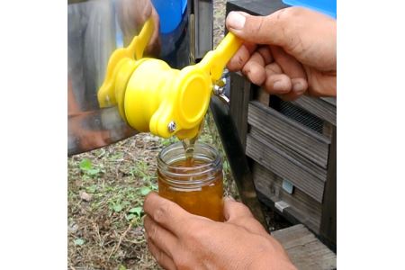 【 はちみつ 蜂蜜 】南国指宿の花々から採れた 純粋 はちみつ 600g(鶴田養蜂場/A-132) はちみつ 蜂蜜 ハチミツ はち蜜 蜂みつ はちみつ 蜂蜜 ハチミツ 蜂みつ 蜂ミツ はち蜜 ハチ蜜 はちみつ 蜂蜜 ハチミツ