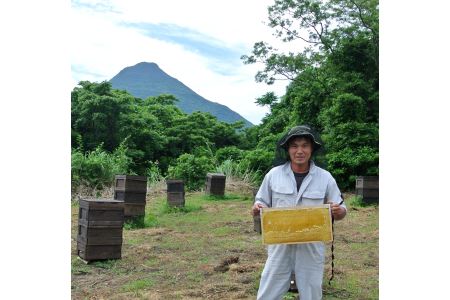 【 はちみつ 蜂蜜 】南国指宿の花々から採れた 純粋 はちみつ 600g(鶴田養蜂場/A-132) はちみつ 蜂蜜 ハチミツ はち蜜 蜂みつ はちみつ 蜂蜜 ハチミツ 蜂みつ 蜂ミツ はち蜜 ハチ蜜 はちみつ 蜂蜜 ハチミツ