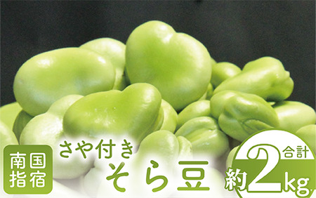 そら豆さや付き(約2㎏)