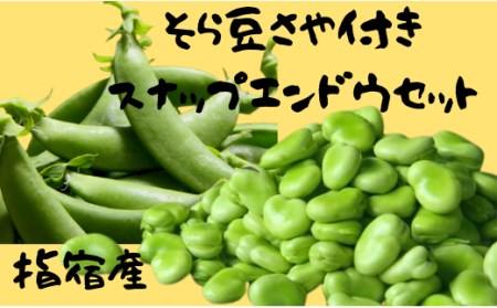 そら豆さや付き(約1.5㎏)とスナップエンドウ(約1㎏)セット