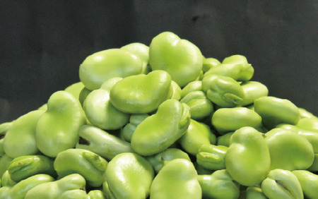 【2026年1月中旬～発送】さや付きそら豆約1.5kgとスナップエンドウ約1kgのセット(アグリスタイル/A-207) そらまめ ソラマメ えんどう 旬 野菜 サラダ 冬 指宿 鹿児島