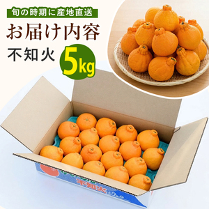 【2026年 発送】かいもん不知火 約5kg(迫田果樹園/IB064-006) しらぬい しらぬい