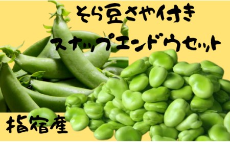 そら豆さや付き 約4 とスナップエンドウ 約１ のセット 鹿児島県指宿市 ふるさと納税サイト ふるなび