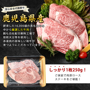 鹿児島産黒毛和牛A5ロースステーキ500g+黒豚生ハム1P 水迫畜産 019-1721 牛肉 牛肉 