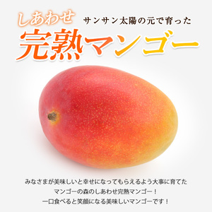 【2026年発送】しあわせ 完熟 マンゴー 3～6玉入 マンゴーの森 044-1768 マンゴー フルーツ 果物