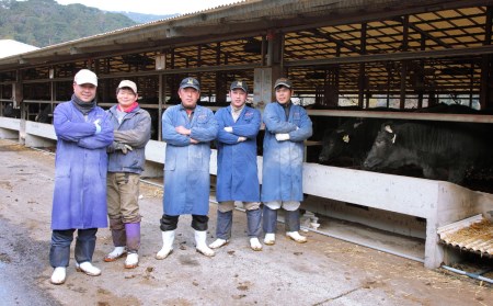 A4ランク未経産黒毛和牛 指宿育ち 黒毛和牛ステーキ三昧 フィレ・サーロイン・モモセット Meat you 110-1018 牛肉 牛肉 