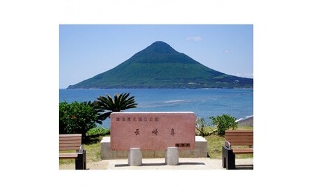 小型タクシーで巡る 指宿3時間観光コース 鹿児島第一交通 066-1317 観光 観光