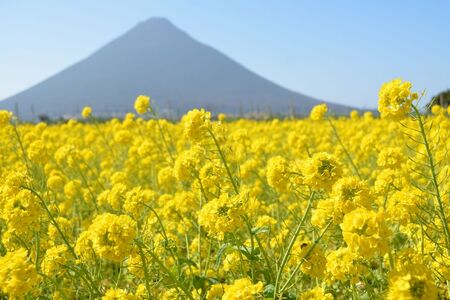 小型タクシーで巡る 指宿3時間観光コース 鹿児島第一交通 IB052-001