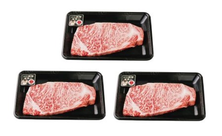鹿児島黒牛サーロインステーキ3枚セット JAいぶすき 033-1301 A101 牛肉 牛肉 