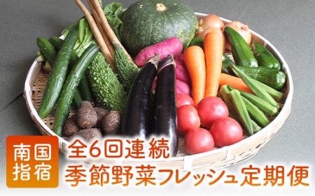 【定期便 全６回】季節野菜フレッシュ定期便(岡村商店/Z-018)